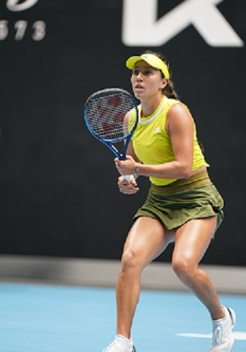 华人聚居地 华人聚居地