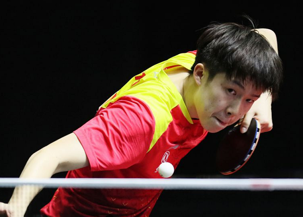 馬的智慧 馬的智慧